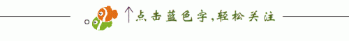澄海清吧美食排名前十(澄海餐厅推荐)插图