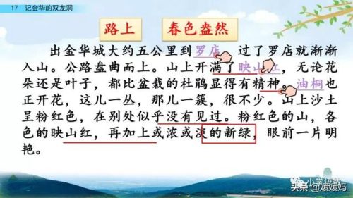 鹃的拼音和组词(鹃什么词语)插图42