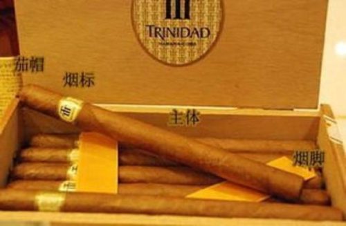 世界最的烟排行榜(十大名烟)插图7