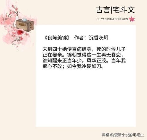 宅斗小说排行榜(公认十大最好宅斗小说)插图2