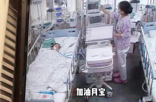 网络红人小月月(网红月亮姐姐个人资料)插图3