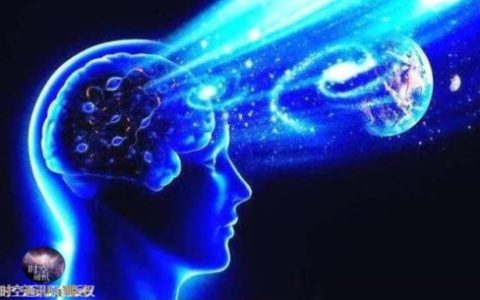 人类的条件(人类存在地球多少年)