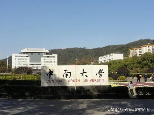 长沙顶级学校排名前十(长沙四大名校全国排名)插图3