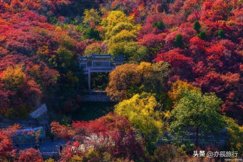 淄博景点排行榜(淄博必去景点)插图9