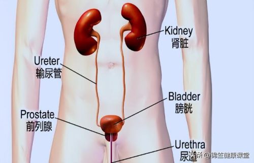 上海正规看男科的医院排行榜(上海男科医院排名第一中医院)插图4