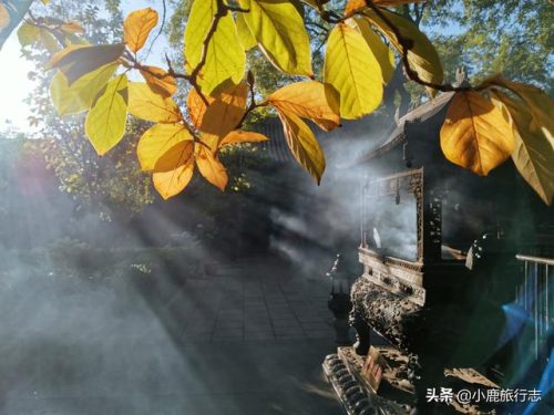 北京寺庙香水排行榜(北京四大名寺)插图9