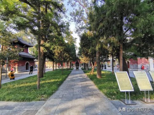北京寺庙香水排行榜(北京四大名寺)插图4