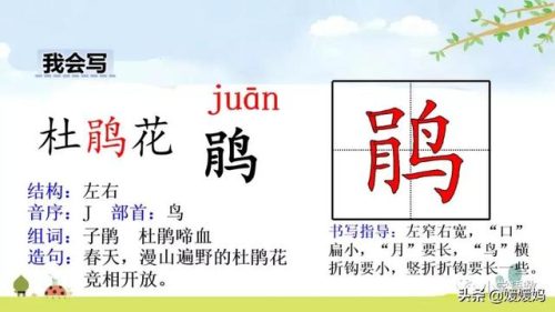 鹃的拼音和组词(鹃什么词语)插图14