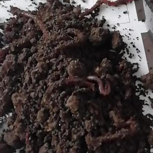 鱼料排行榜(火锅底料十大名牌)插图2