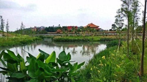 同安区湿地公园排名前十(同安汀溪湿地)插图11