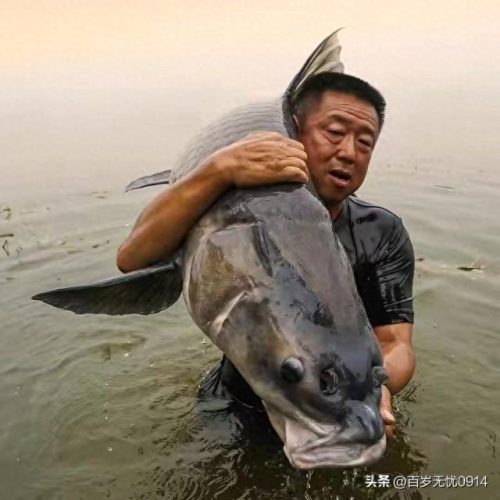 中国十大男钓手排行榜(钓鱼大师一览表)插图2