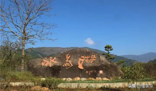 普洱茶叶价格排行榜(顶级普洱茶品牌排行榜)插图9