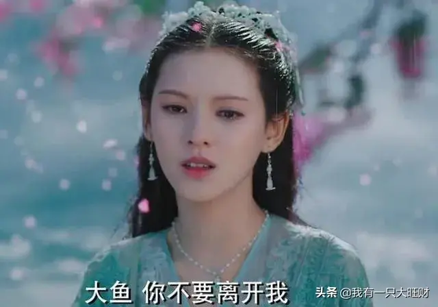 海大鱼电视剧(海大鱼一共多少集)插图6