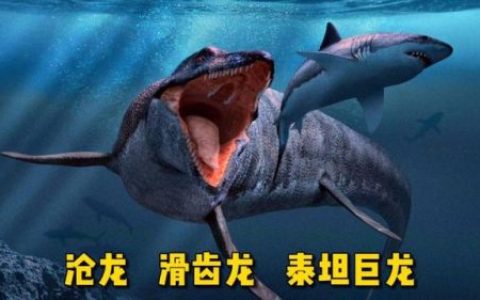 地球史前十大巨兽(史前巨兽实力排名)