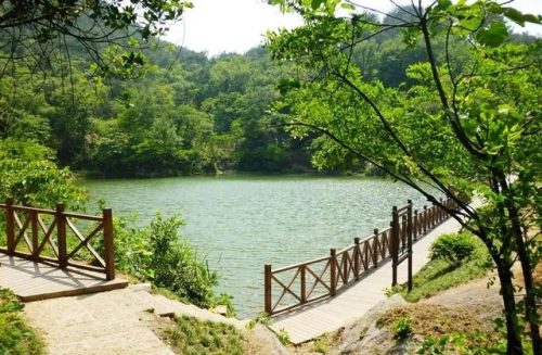 北仑区小众景点排名前十(小众旅游)插图25