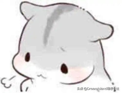 正品古风香水排名前十(50元左右的香水)插图46