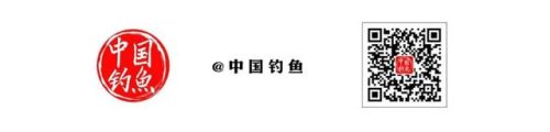 鱼具加盟店排行榜(渔具连锁店有哪些品牌)插图7