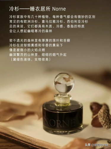 泥土味香水排行榜(小众香水品牌排行榜前十名)插图7
