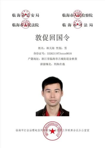 网上通缉(如何查网逃名单)插图8
