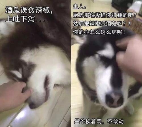 微博红人排行榜男(男网红排名前十)插图12