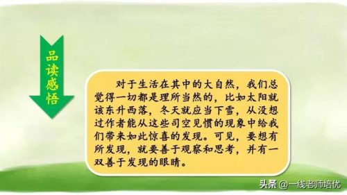 俯冲的近义词(府冲近义词是动词吗)插图29