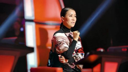 唱功排行榜(中国公认唱功第一人)插图6