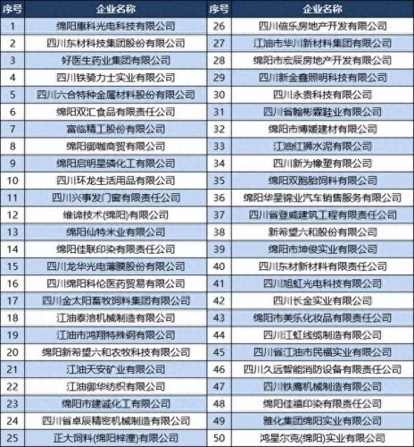 绵阳经开区企业排名前十(绵阳经开区最好的项目)插图3