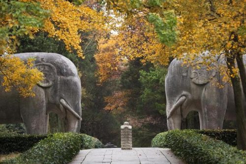 南京风景区排行榜(南京旅游哪里好玩)插图10