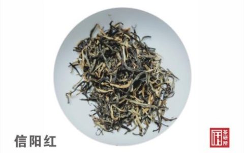信阳茶叶大佬排名前十(信阳哪个山产的茶叶最好)