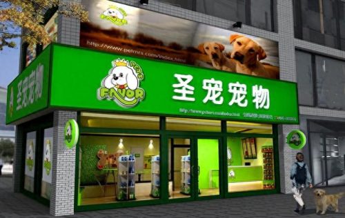 中国十大吃龟品牌排行榜(大龟哪个牌子好)插图7