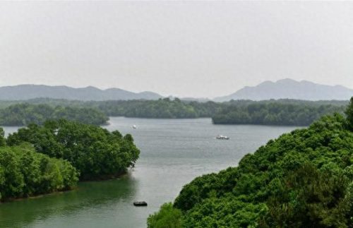 信阳市排名前十的县(信阳最有钱三个县)插图6