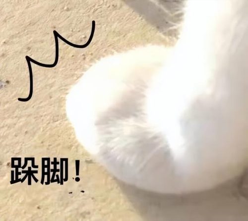 2014零食排行榜(零食十大品牌排行榜)插图9