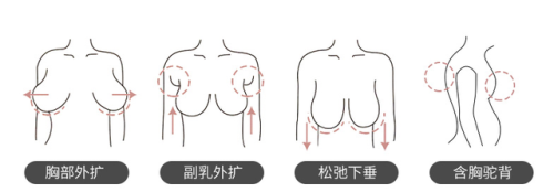 调整型内衣排行榜(一线品牌内衣十大排名)插图1