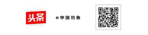 鱼具加盟店排行榜(渔具连锁店有哪些品牌)插图9