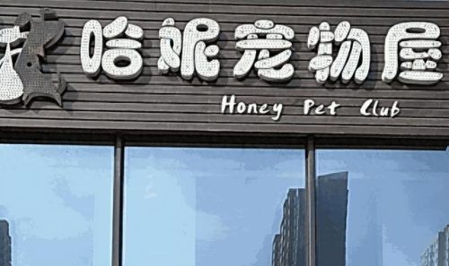 中国十大吃龟品牌排行榜(大龟哪个牌子好)插图4