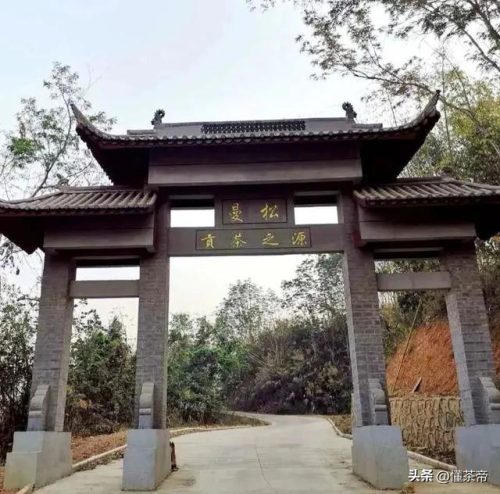 普洱茶叶价格排行榜(顶级普洱茶品牌排行榜)插图10