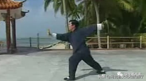 世界功夫排行榜前十名(世界十大最强武术)插图8