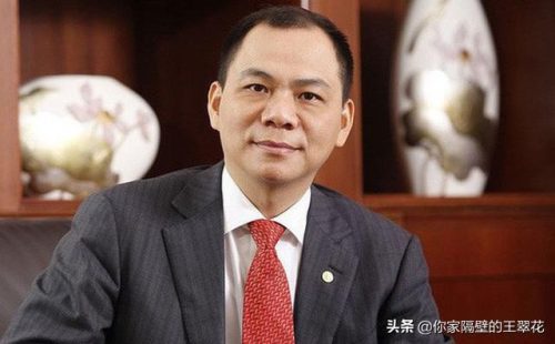 越南富豪排行榜(越南华人十大首富排名)插图