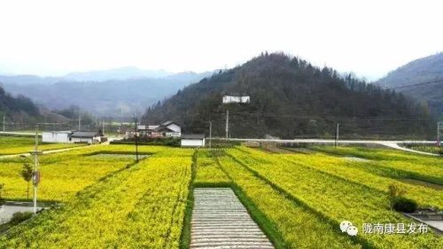 康县宾馆排名前十酒店(康县酒吧)插图34