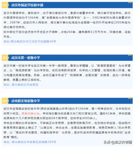 武汉小学中考排名前十(武汉光谷实验中学排名)插图6