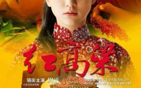 电视剧红高粱剧情介绍(红高粱罗汉第几集回到单家)