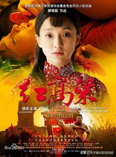 电视剧红高粱剧情介绍(红高粱罗汉第几集回到单家)插图