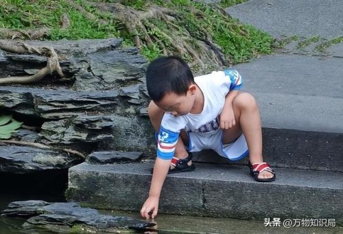 广西北海鳄鱼(北海鳄鱼山景区)插图16