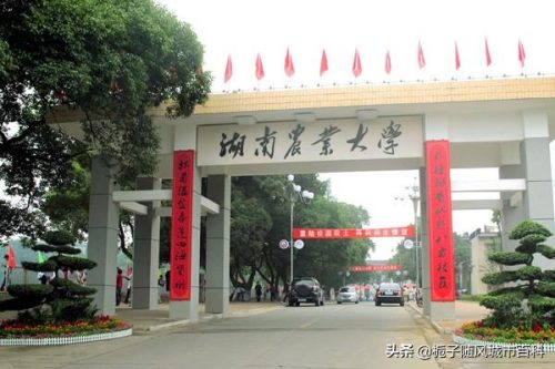 长沙顶级学校排名前十(长沙四大名校全国排名)插图10