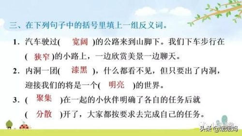 鹃的拼音和组词(鹃什么词语)插图84