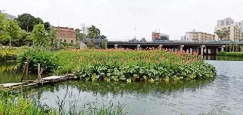 同安区湿地公园排名前十(同安汀溪湿地)插图15