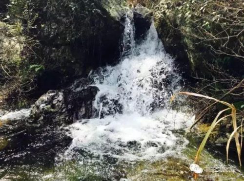 北仑区小众景点排名前十(小众旅游)插图20