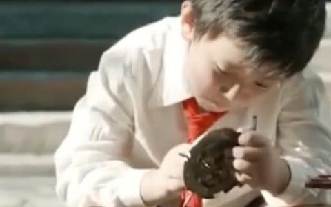 天才少年13岁高考(13岁上大学的天才少年)