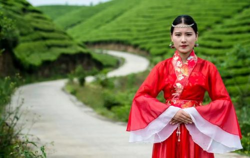 目前最贵茶叶排名前十(最贵的茶叶品种)插图23