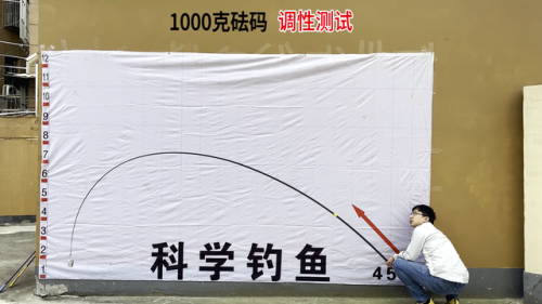 黑坑鱼竿品牌排行榜(黑坑用什么牌子鱼竿好)插图13